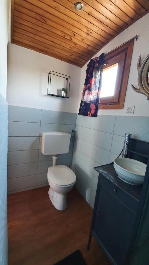 לינה וארוחת בוקר Tiszaszolos Tisza White House מראה חיצוני תמונה